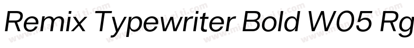 Remix Typewriter Bold W05 Rg字体转换